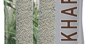 Shikhar Hybrid Bajra Seeds