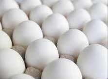 Antibiotic-free Fresh White Shell Eggs
