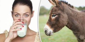 Donkey Milk