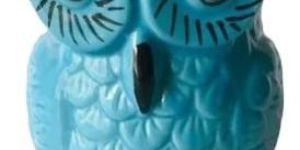 Ceramic Owl Pot