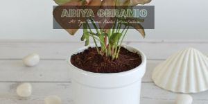 Ceramic White Round Ashwani Pot