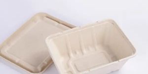 750ml Rectangular Bagasse Bowl