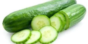 Fresh English Cucumber
