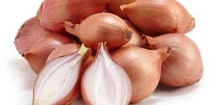 Fresh Shallot Onion