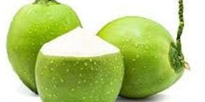 Green Tender Coconut