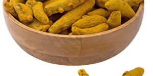 Turmeric Finger