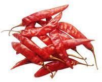 Dried Red Chilli