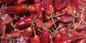 Red Chilli