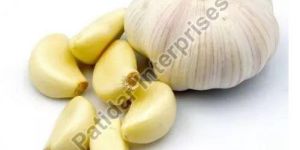 Fresh Garlic