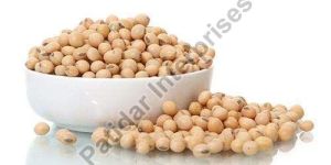 High Protein Soybean