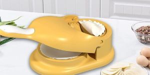 Dumpling Press Mould