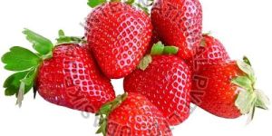 Fresh Strawberry