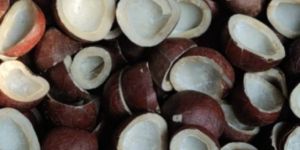 Dried Copra Coconut