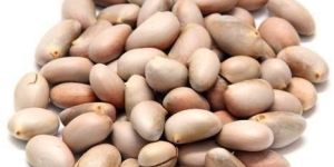 Dried Jackfruit Seeds