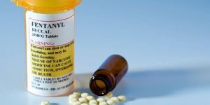 Veterinary Medicines