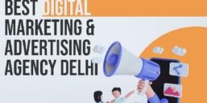 Digital Marketing Agency in Delhi Webeasts