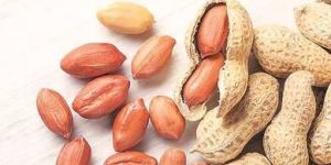Ground Nut