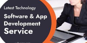 Software Developers