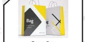Carry Bag Offset Printing Services