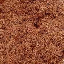 Coco Peat Powder