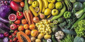 Fruits Vegetables Transportation Services