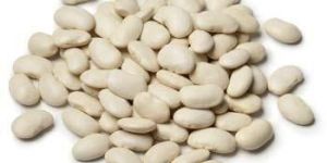 Dried Lima Beans