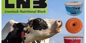 Mineral Salt Lick Block