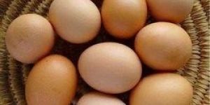 Kadaknath Chicken Egg