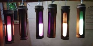 Bamboo Hanging Light