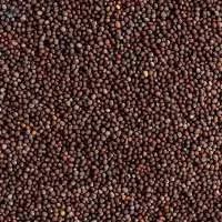 Black Mustard Seeds