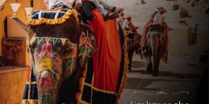 Rajasthani Restaurant