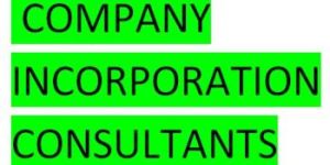 Company Incorporation Consultant