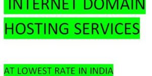 Domain Hosting Service