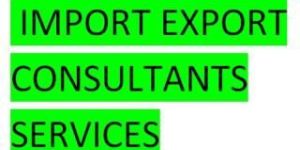 Import Export Consultant
