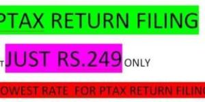 Professional Tax Return Filing Services