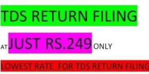 TDS Return Filing Services