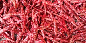 Red Chilli