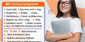 Software Training Institute