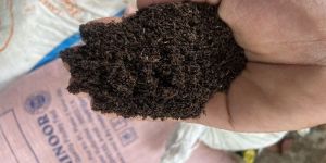 Vermicompost