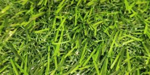 Artificial Grass