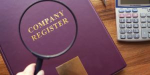 Company Registration Services