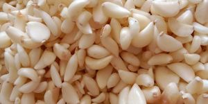 Fresh Peeled Garlic