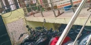 BIKE RENTAL