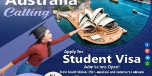 Study Visa Consultancy Services
