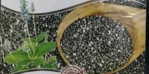 Chia Seed