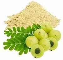 Organic Pure Dried Amla Powder