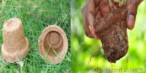 Coir Seedling Pots