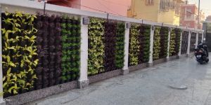 Vertical Garden Walls