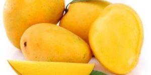 Fresh Alphonso Mango