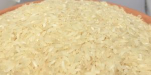Organic Ponni Rice
